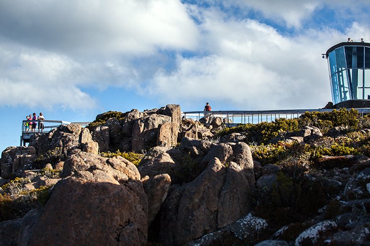 AUS TAS MountWellington 2015JAN24 030