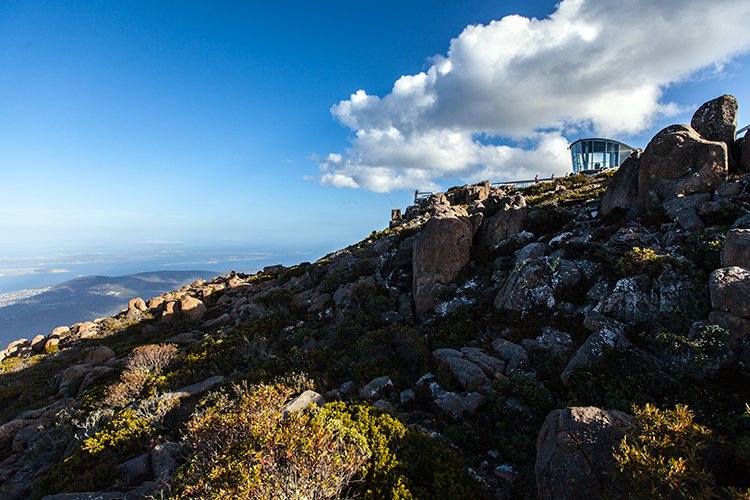 AUS TAS MountWellington 2015JAN24 032