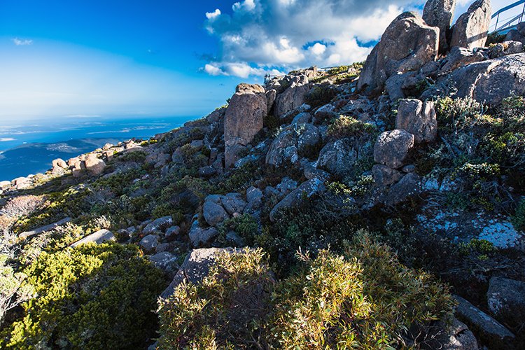 AUS TAS MountWellington 2015JAN24 036