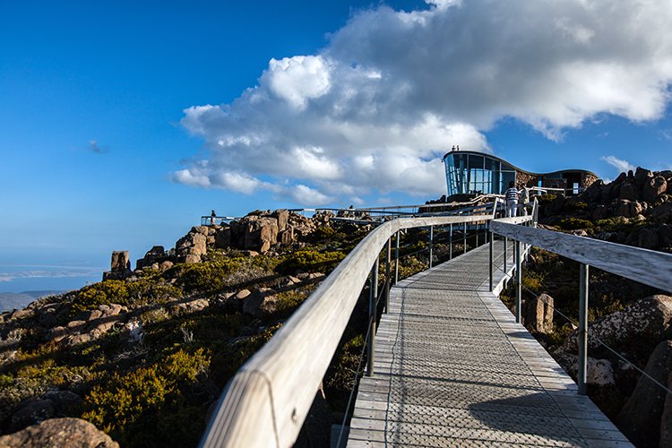 AUS TAS MountWellington 2015JAN24 040