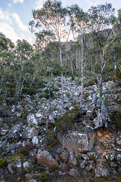 AUS TAS MountWellington 2015JAN24 053