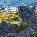 AUS TAS MountWellington 2015JAN24 021 : 2015, 2015 - Tasmanian Travels, Australia, Date, January, Month, Mount Wellington, Places, TAS, Trips, Year