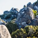 AUS TAS MountWellington 2015JAN24 023 : 2015, 2015 - Tasmanian Travels, Australia, Date, January, Month, Mount Wellington, Places, TAS, Trips, Year