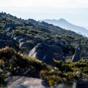 AUS TAS MountWellington 2015JAN24 028 : 2015, 2015 - Tasmanian Travels, Australia, Date, January, Month, Mount Wellington, Places, TAS, Trips, Year