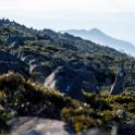 AUS_TAS_MountWellington_2015JAN24_028.jpg