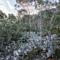 AUS TAS MountWellington 2015JAN24 053 : 2015, 2015 - Tasmanian Travels, Australia, Date, January, Month, Mount Wellington, Places, TAS, Trips, Year