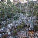 AUS TAS MountWellington 2015JAN24 054 : 2015, 2015 - Tasmanian Travels, Australia, Date, January, Month, Mount Wellington, Places, TAS, Trips, Year