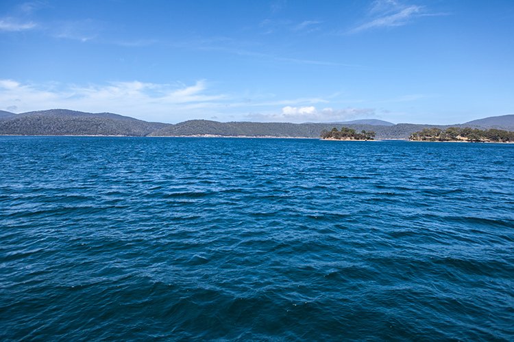 AUS TAS PortArthur 2015JAN24 056