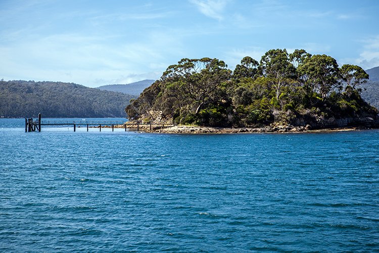 AUS TAS PortArthur 2015JAN24 059