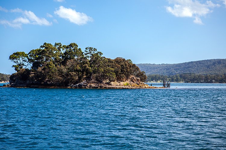 AUS TAS PortArthur 2015JAN24 066