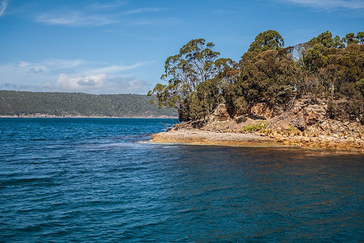 AUS TAS PortArthur 2015JAN24 070
