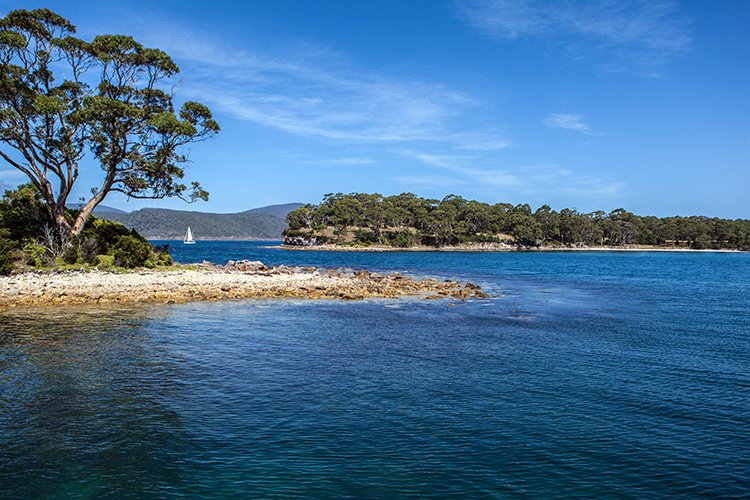 AUS TAS PortArthur 2015JAN24 073