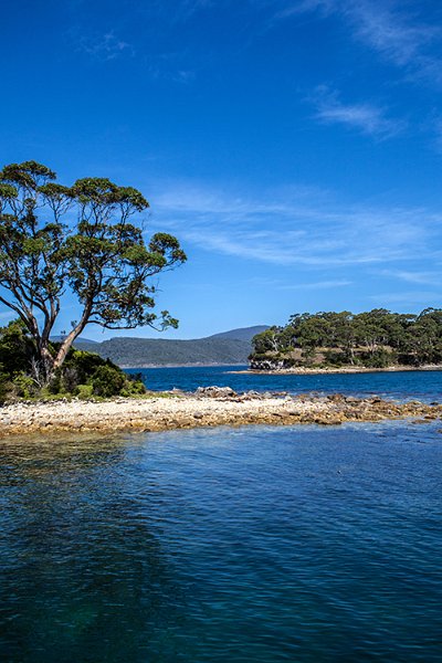 AUS TAS PortArthur 2015JAN24 076