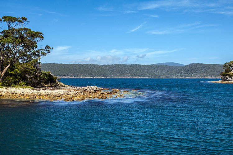 AUS TAS PortArthur 2015JAN24 077