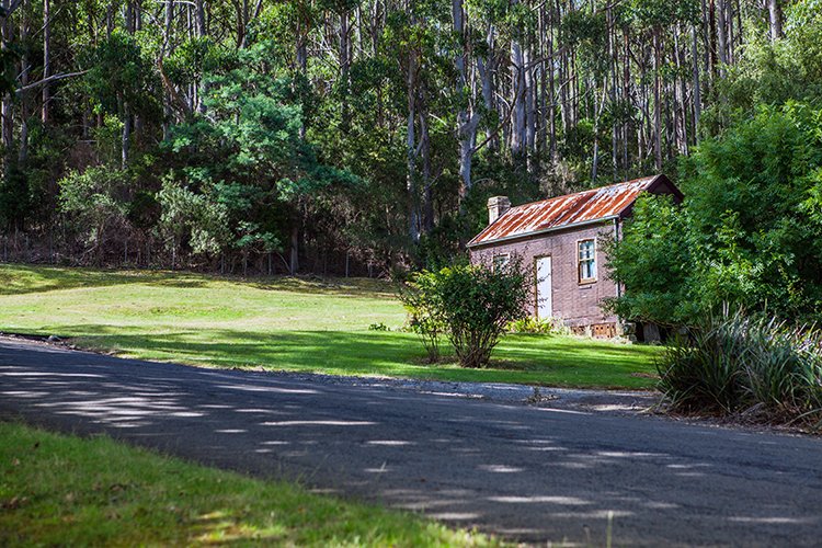 AUS TAS PortArthur 2015JAN24 136