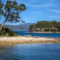 AUS TAS PortArthur 2015JAN24 071 : 2015, 2015 - Tasmanian Travels, Australia, Date, January, Month, Places, Port Arthur, TAS, Trips, Year