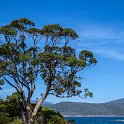 AUS TAS PortArthur 2015JAN24 075 : 2015, 2015 - Tasmanian Travels, Australia, Date, January, Month, Places, Port Arthur, TAS, Trips, Year