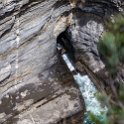 AUS TAS TasmanNP 2015JAN24 DevilsKitchen 005 : 2015, 2015 - Tasmanian Travels, Australia, Date, Devils Kitchen, January, Month, Places, TAS, Tasman National Park, Trips, Year