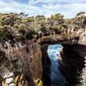 AUS TAS TasmanNP 2015JAN24 TasmansArch 006 : 2015, 2015 - Tasmanian Travels, Australia, Date, January, Month, Places, TAS, Tasman National Park, Tasmans Arch, Trips, Year