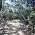 AUS TAS TasmanNP 2015JAN24 TasmansArch 012 : 2015, 2015 - Tasmanian Travels, Australia, Date, January, Month, Places, TAS, Tasman National Park, Tasmans Arch, Trips, Year