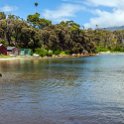 AUS TAS TasmanNP 2015JAN24 TheBlowhole 010 : 2015, 2015 - Tasmanian Travels, Australia, Date, January, Month, Places, TAS, Tasman National Park, The Blowhole, Trips, Year