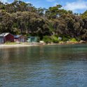 AUS TAS TasmanNP 2015JAN24 TheBlowhole 016 : 2015, 2015 - Tasmanian Travels, Australia, Date, January, Month, Places, TAS, Tasman National Park, The Blowhole, Trips, Year