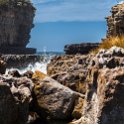 AUS TAS TasmanNP 2015JAN24 TheBlowhole 018 : 2015, 2015 - Tasmanian Travels, Australia, Date, January, Month, Places, TAS, Tasman National Park, The Blowhole, Trips, Year