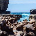 AUS TAS TasmanNP 2015JAN24 TheBlowhole 023 : 2015, 2015 - Tasmanian Travels, Australia, Date, January, Month, Places, TAS, Tasman National Park, The Blowhole, Trips, Year