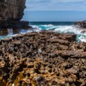 AUS TAS TasmanNP 2015JAN24 TheBlowhole 034 : 2015, 2015 - Tasmanian Travels, Australia, Date, January, Month, Places, TAS, Tasman National Park, The Blowhole, Trips, Year