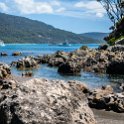 AUS TAS TasmanNP 2015JAN24 TheBlowhole 039 : 2015, 2015 - Tasmanian Travels, Australia, Date, January, Month, Places, TAS, Tasman National Park, The Blowhole, Trips, Year