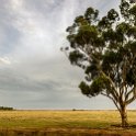 AUS VIC Yarrawalla 2017DEC24 003 : - DATE, - PLACES, - TRIPS, 10's, 2017, 2017 - More Miles Than Santa, Australia, Day, December, Month, Schmidt Sheep Station, Sunday, VIC, Yarrawalla, Year