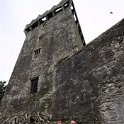 EU IRL MUN CoCork BlarneyCastle 2008SEPT11 050 : 2008, 2008 - Culture Vulture Tour, 2008 Edinburgh Golden Oldies, Alice Springs Dingoes Rugby Union Football Club, Blarney Castle, County Cork, Date, Europe, Golden Oldies Rugby Union, Ireland, Month, Munster, Places, Rugby Union, September, Sports, Teams, Trips, Year