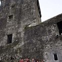EU IRL MUN CoCork BlarneyCastle 2008SEPT11 051 : 2008, 2008 - Culture Vulture Tour, 2008 Edinburgh Golden Oldies, Alice Springs Dingoes Rugby Union Football Club, Blarney Castle, County Cork, Date, Europe, Golden Oldies Rugby Union, Ireland, Month, Munster, Places, Rugby Union, September, Sports, Teams, Trips, Year