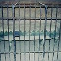 EU ITA CAMP Pompeii 1998SEPT 026 : 1998, 1998 - European Exploration, Campania, Date, Europe, Italy, Month, Places, Pompeii, September, Trips, Year