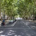 EU PRT LIS Lisbon 2017JUL09 059 : 2017, 2017 - EurAisa, DAY, Europe, July, Lisboa, Lisbon, Portugal, Southern Europe, Sunday