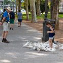 EU ESP AND COR Cordoba 2017JUL15 JardinesDeLaVictoria 003 : 2017, 2017 - EurAisa, DAY, Europe, July, Saturday, Southern Europe, Spain