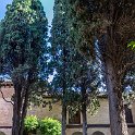 EU ESP AND GRA Granada 2017JUL16 TheAlhambra 084 : 2017, 2017 - EurAisa, DAY, Europe, July, Southern Europe, Spain, Sunday