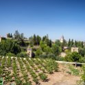 EU ESP AND GRA Granada 2017JUL16 TheAlhambra 103 : 2017, 2017 - EurAisa, DAY, Europe, July, Southern Europe, Spain, Sunday