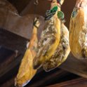 EU ESP AND SEV Seville 2017JUL14 ElRinconcillo 020 : 2017, 2017 - EurAisa, Andalucia, DAY, El Rinconcillo, Europe, Friday, July, Sevilla, Seville, Southern Europe, Spain