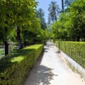 EU ESP AND SEV Seville 2017JUL14 AlcazarDeSevilla 045 : 2017, 2017 - EurAisa, Andalucia, DAY, Europe, Friday, July, Real Alcázar de Sevilla, Sevilla, Seville, Southern Europe, Spain