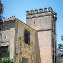 EU ESP AND SEV Seville 2017JUL14 AlcazarDeSevilla 048 : 2017, 2017 - EurAisa, Andalucia, DAY, Europe, Friday, July, Real Alcázar de Sevilla, Sevilla, Seville, Southern Europe, Spain