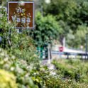 EU ESP ARA HUE SOB Hospital 2017JUL25 CasaRuben 046 : 2017, 2017 - EurAisa, Aragon, Casa Rubén, DAY, Europe, Hospital, Huesca, July, Sobrarbe, Southern Europe, Spain, Tuesday