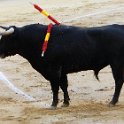 EU ESP MAD Madrid 2017JUL29 LasVentas 033 : 2017, 2017 - EurAisa, Community of Madrid, DAY, Europe, July, Madrid, Plaza de Toros de Las Ventas, Saturday, Southern Europe, Spain