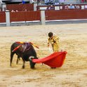 EU ESP MAD Madrid 2017JUL29 LasVentas 039 : 2017, 2017 - EurAisa, Community of Madrid, DAY, Europe, July, Madrid, Plaza de Toros de Las Ventas, Saturday, Southern Europe, Spain