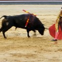 EU ESP MAD Madrid 2017JUL29 LasVentas 040 : 2017, 2017 - EurAisa, Community of Madrid, DAY, Europe, July, Madrid, Plaza de Toros de Las Ventas, Saturday, Southern Europe, Spain