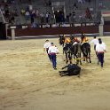 EU ESP MAD Madrid 2017JUL29 LasVentas 050 : 2017, 2017 - EurAisa, Community of Madrid, DAY, Europe, July, Madrid, Plaza de Toros de Las Ventas, Saturday, Southern Europe, Spain