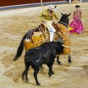 EU ESP MAD Madrid 2017JUL29 LasVentas 052 : 2017, 2017 - EurAisa, Community of Madrid, DAY, Europe, July, Madrid, Plaza de Toros de Las Ventas, Saturday, Southern Europe, Spain