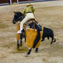 EU ESP MAD Madrid 2017JUL29 LasVentas 053 : 2017, 2017 - EurAisa, Community of Madrid, DAY, Europe, July, Madrid, Plaza de Toros de Las Ventas, Saturday, Southern Europe, Spain