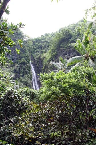 PYF Tahiti FaarumaiWaterfalls 2007FEB13 001