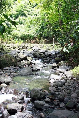 PYF Tahiti FaarumaiWaterfalls 2007FEB13 003
